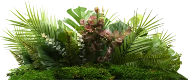 茂みの画像