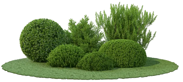 茂みの画像